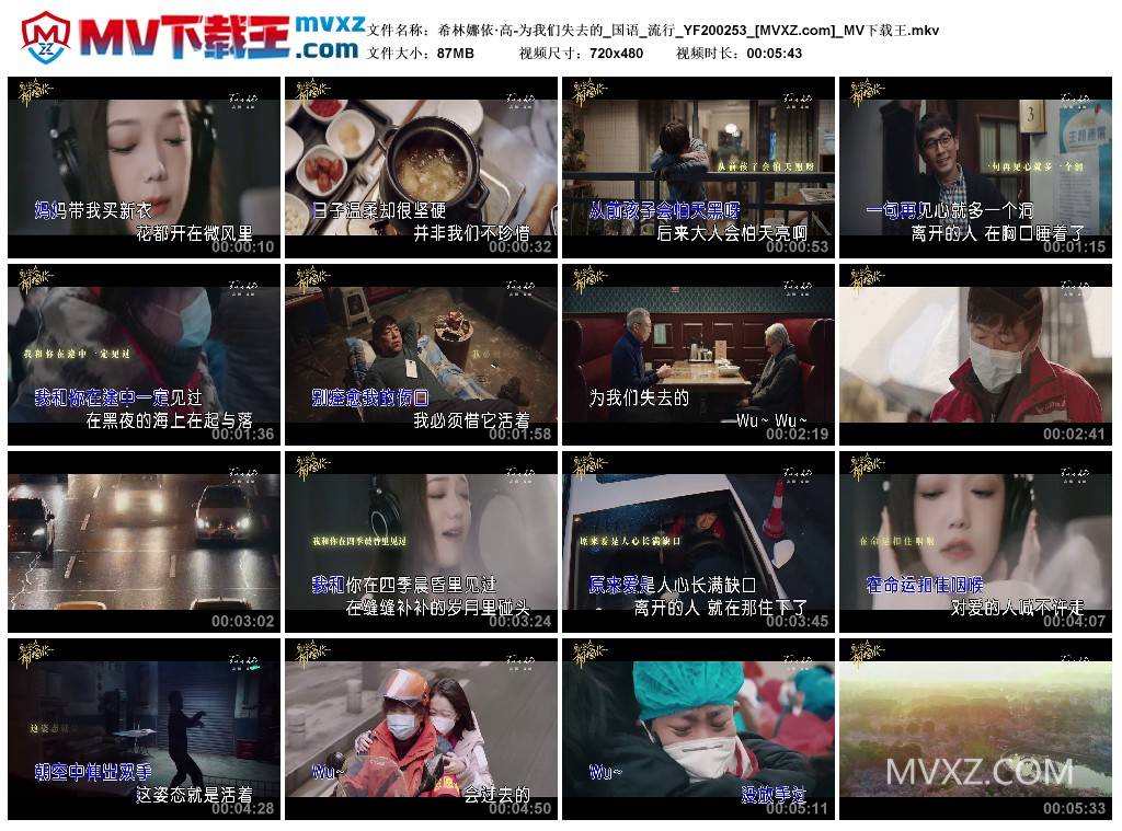 希林娜依·高-为我们失去的_国语_流行_YF200253